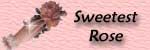 SweetestRose.jpg (7904 bytes)