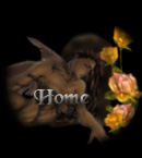 angel_rose_home2.jpg (12543 bytes)